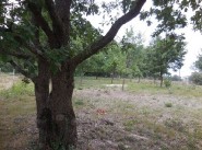 Development site Bouloc