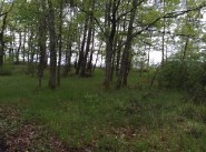 Development site Catus