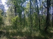 Development site Luzech