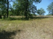 Development site Martel