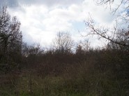 Development site Montaigut Sur Save