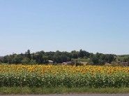 Development site Senouillac