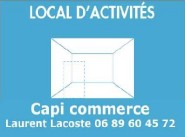 Office, commercial premise Colomiers