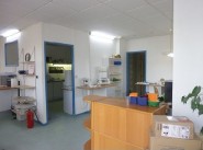 Office, commercial premise Cornebarrieu