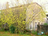 Purchase sale city / village house Eauze