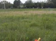 Purchase sale development site Avignonet Lauragais