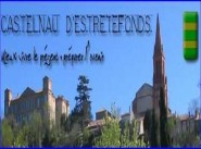 Purchase sale development site Castelnau D Estretefonds