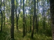 Purchase sale development site Luzech