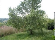 Purchase sale development site Monclar De Quercy
