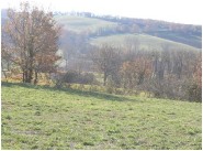 Purchase sale development site Montauban