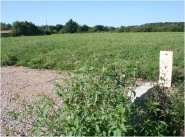 Purchase sale development site Montauban