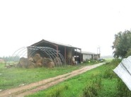 Real estate Montaut