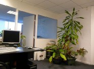 Real estate Ramonville Saint Agne