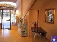 Shop Mirepoix