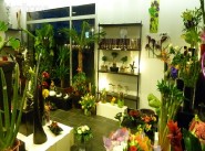 Shop Toulouse